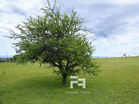 Terreno en Venta en Santa Rosa De Calamuchita, USD 55.000