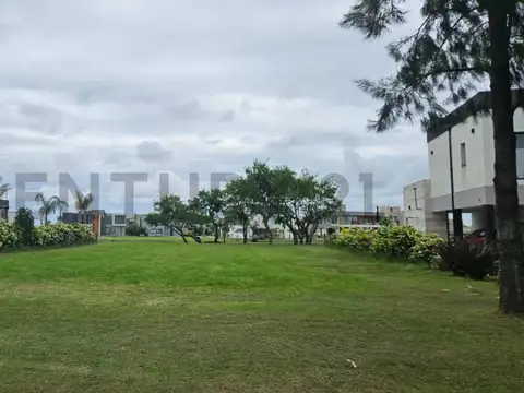 El deslinde 1300, Piso 0