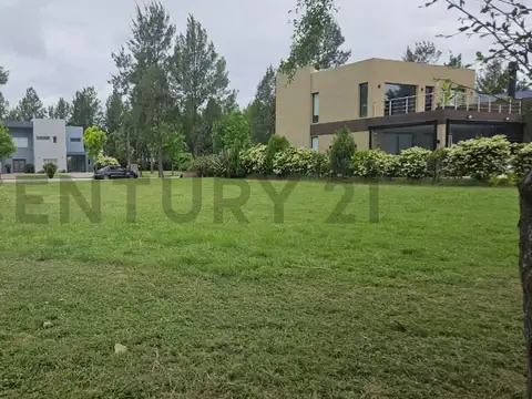 El deslinde 1300, Piso 0