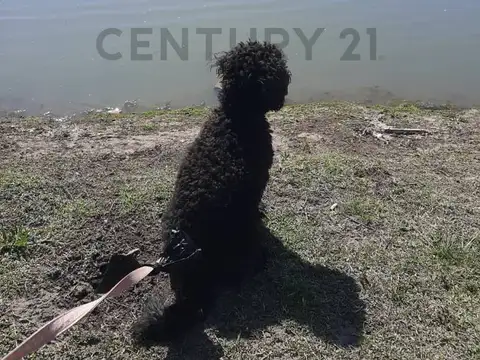 Lote con hermoso fondo a la Laguna en Barrio Ciudad Náutica el Principado