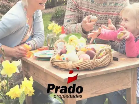 DPTO 1 DORMI, LUMINOSO, LINDA ZONA