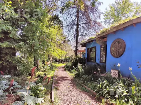 ALQ VERANO  Segunda Quincena Enero  | BELLISIMA CASA con Jardin y Pileta La Bota Ing Maschwitz