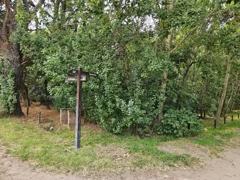 Terreno en Venta en Carilo, USD 185.000