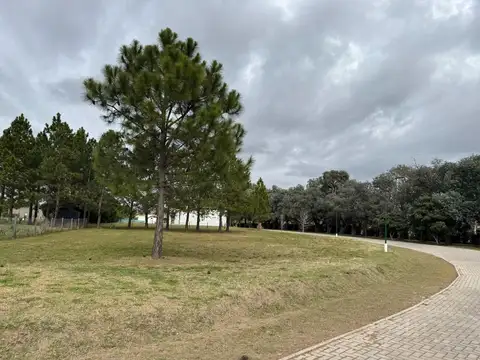 Terreno en Venta de 1000,0 m2