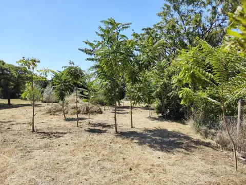 Terreno en Venta de 1042,0 m2