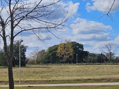 Ruta 4 km 4.2 - Las Calandrias