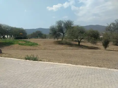 BARRIO LA LUCINDA 100