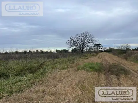 LOBOS, ESTACION EMPALME