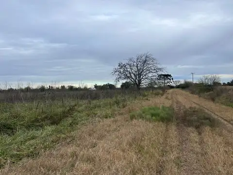 LOBOS, ESTACION EMPALME