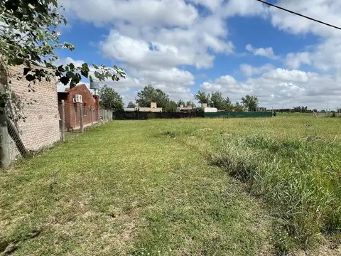 Antonio Berni y Miguel Ángel Bo. La Guadalupe