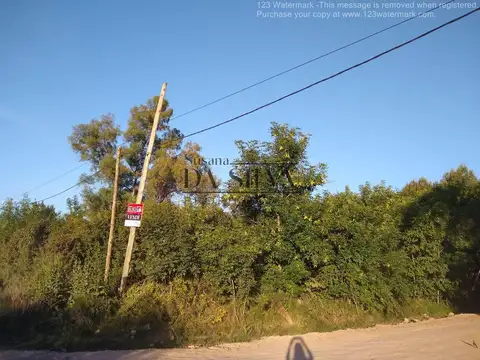 Lote arbolado en Marcos Paz