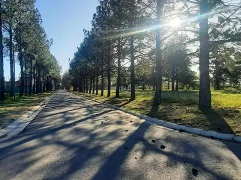 RBS. Hermoso Lote interno en Nueva Zelaya, etapa 1