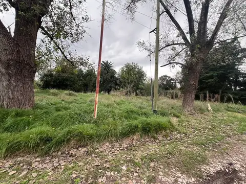 Terreno en Venta de 300,0 m2