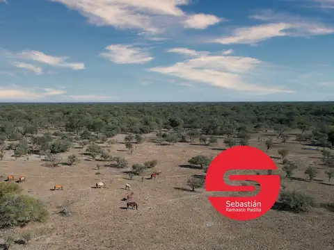 Campo en Santa Fe 566 has