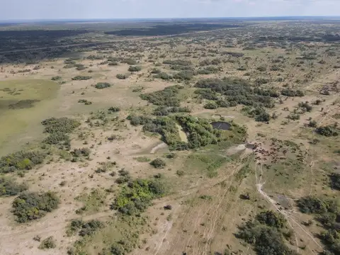 Campo en Venta de 3.261  ha