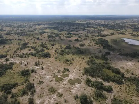 Campo en Venta Ganadero