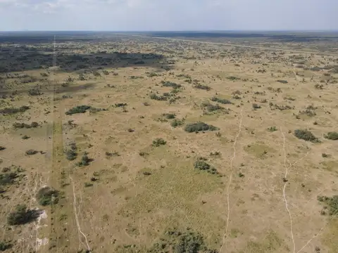 Campo en Venta Ganadero