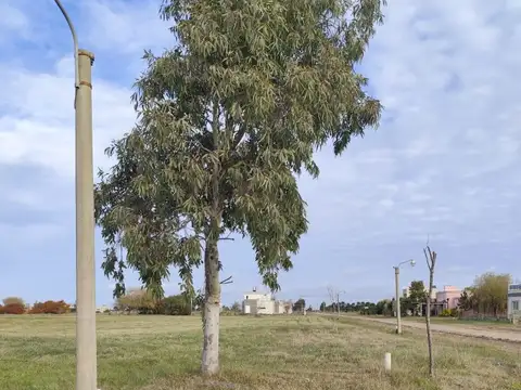 Ruta 11 KM 314 UF 28, Las Toninas (160800)