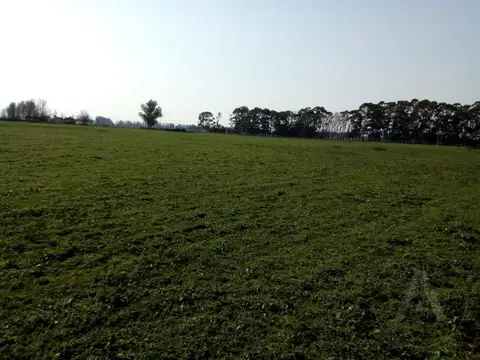 FINA PATAGONIA. Campo en venta de 2350000m2 ubicado en Mechongué