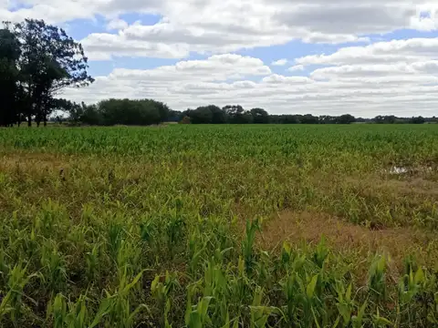 FINA PATAGONIA. Campo en venta de 2350000m2 ubicado en Mechongué