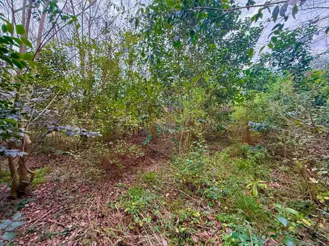 Terreno en Venta de 800,0 m2