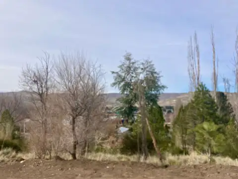 Junín de los Andes 100