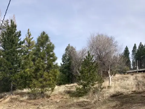 Junín de los Andes 100