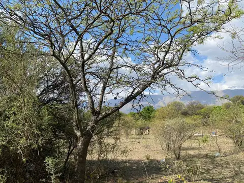 Terreno en Venta 22  mts Frente