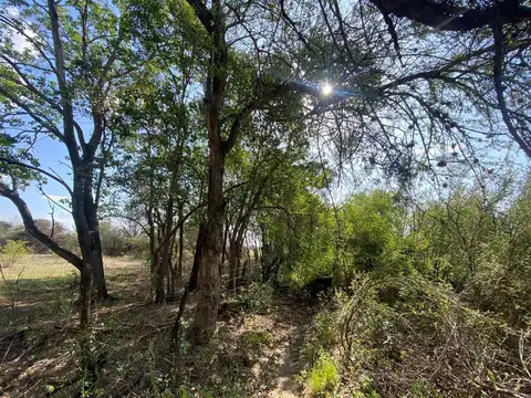 Oportunidad para comenzar a construir tu vivienda en un lugar lleno de naturaleza y tranquilidad.