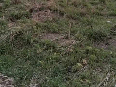 Terreno en Venta de 669,0 m2