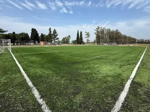 J449+VF, B1631 Zelaya,