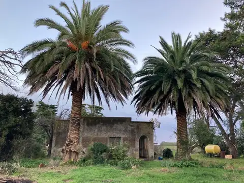 Campo en venta de 300000m2 ubicado en Balcarce