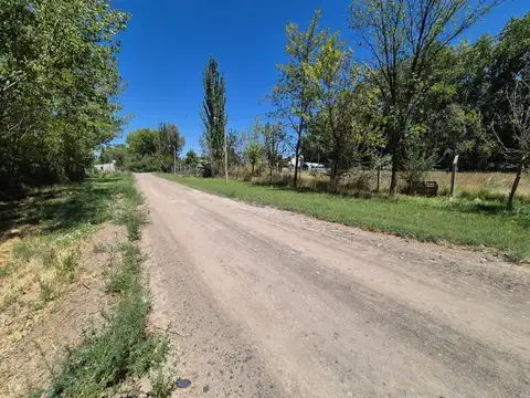 Israel y Los Eucaliptos, General Roca