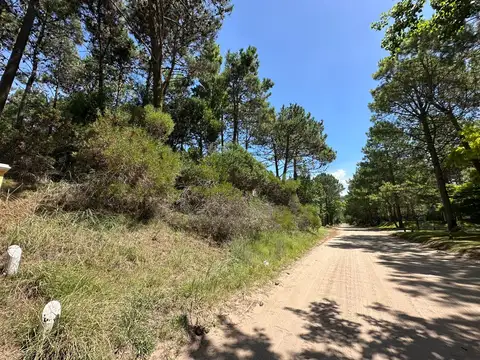 Terreno en Venta 53.500  mts Fondo