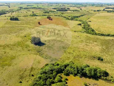 Chacra Marítima en venta - Ruta 104 José Ignacio