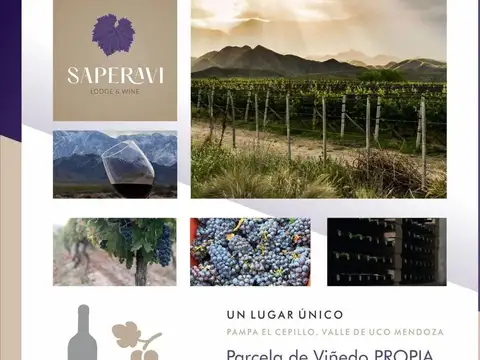 VENTA PARCELA DE VIÑEDO PROPIO  40 M LINEALES EN VALLE DE UCO, MENDOZA
