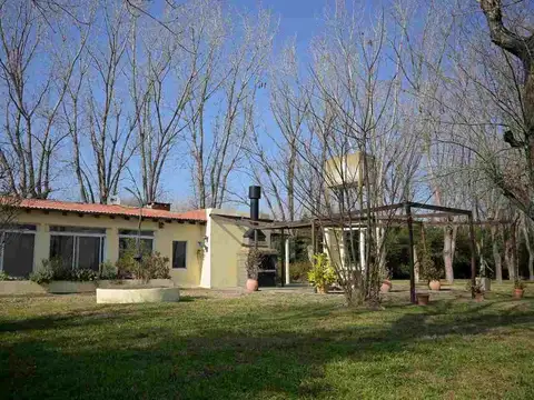 del triangulo de la noria 100