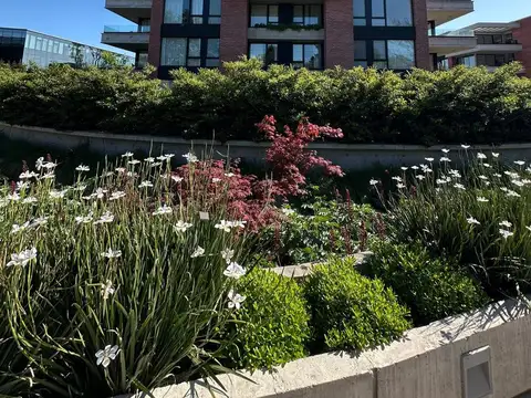 Departamento - En pozo - Las Lomas/Beccar