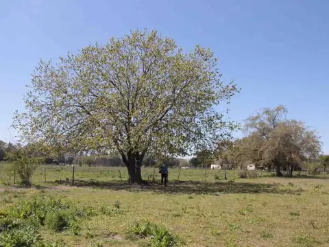 Terreno en Venta de 350000,0 m2