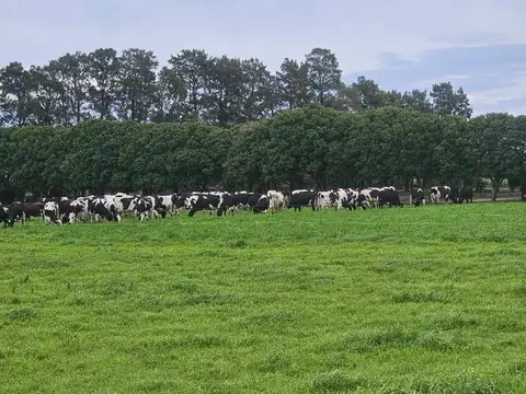 Tambo Establecimiento La Taberna - Viale - Tranquera cerrada