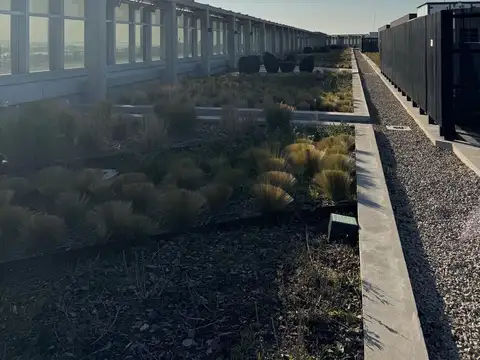 Comodoro Pedro Zanni  al 300