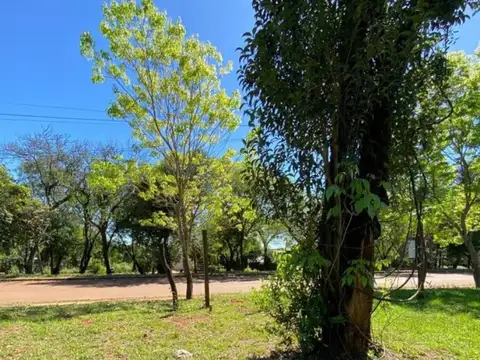 Avenida Carlos Bosetti