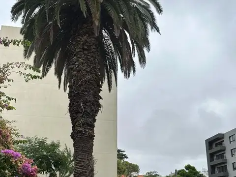 Local en Venta en Haedo, USD 320.000