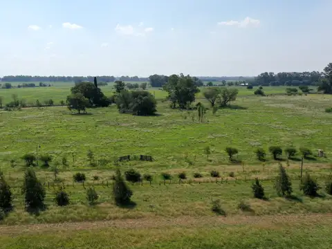 Terreno en Venta de 10000,0 m2