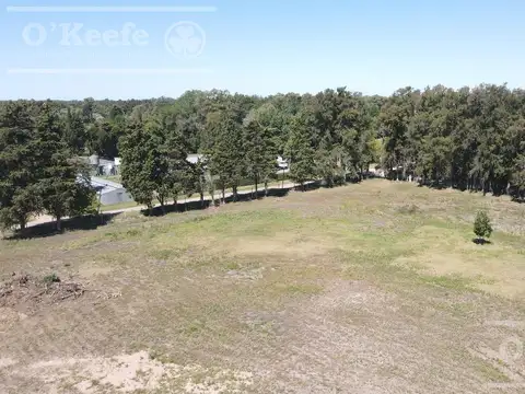 Terreno en Venta en Centro Agricola El Pato, USD 27.000