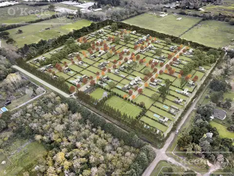 LOTEO RESIDENCIAL CON PERIMETRO DE SEGURIDAD EL PATO