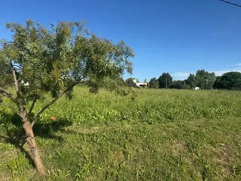 LOTE EN VENTA EN BARRIO LA FRANCISCA