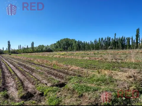 Calle 3 y Jacobo Retamal