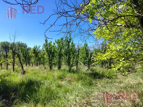 Chacra en Guerrico- Roca