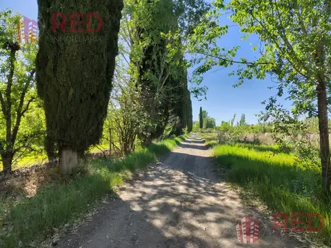 Chacra en Guerrico- Roca